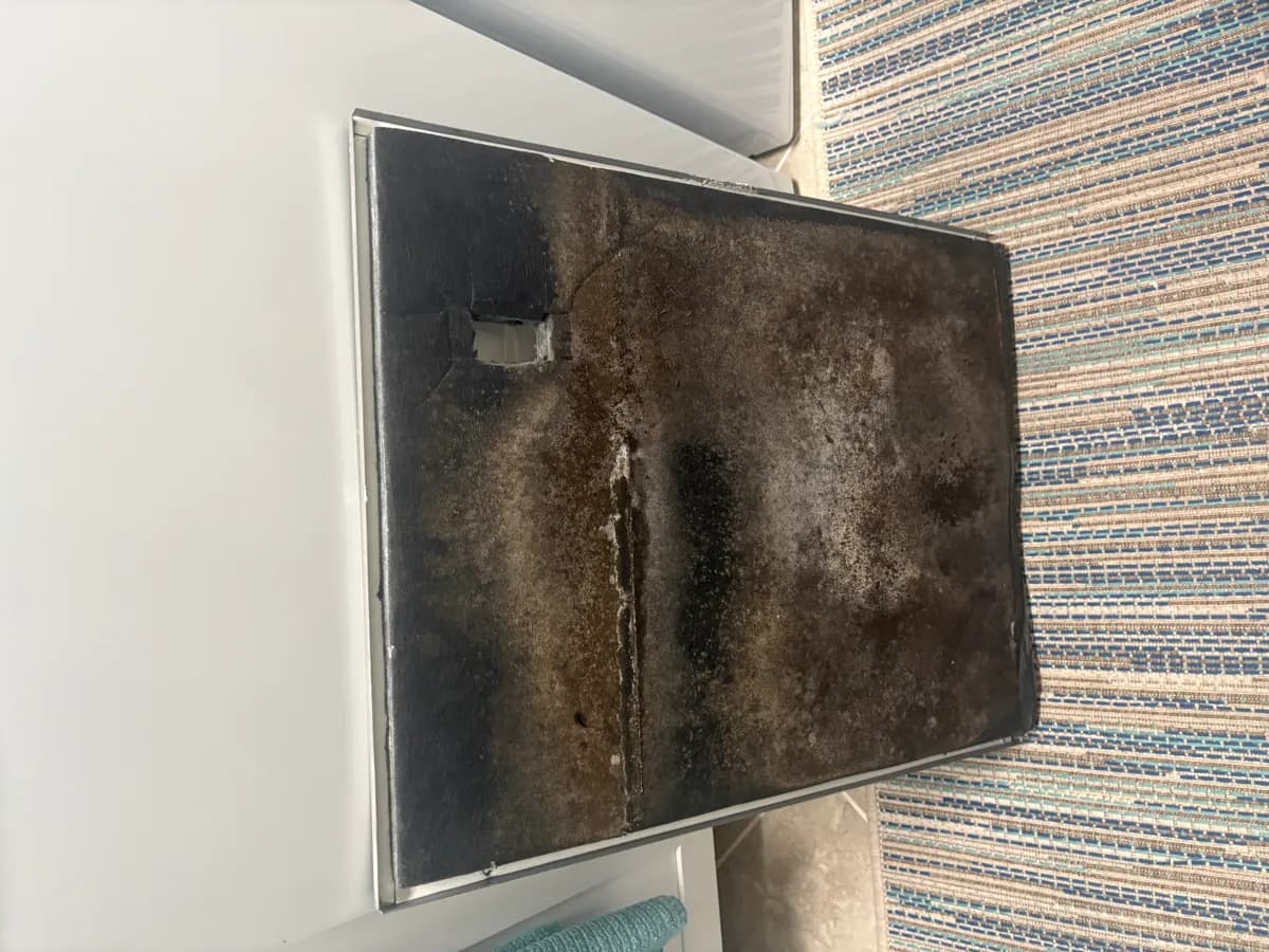 Air duct sanitization in Estero