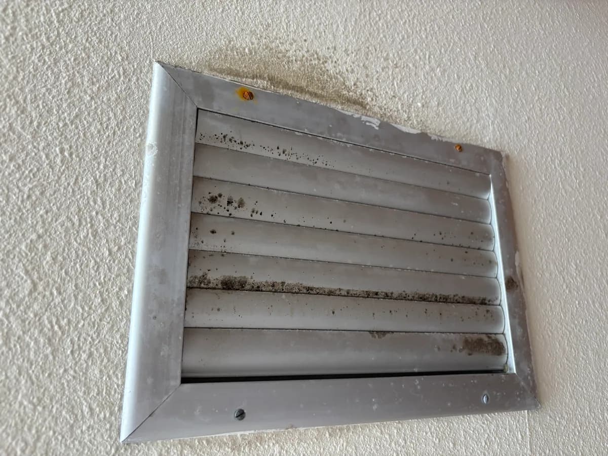 Mold remediation in Lehigh Acres