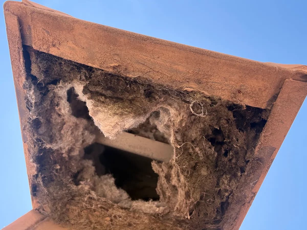 dryer vent cleaning