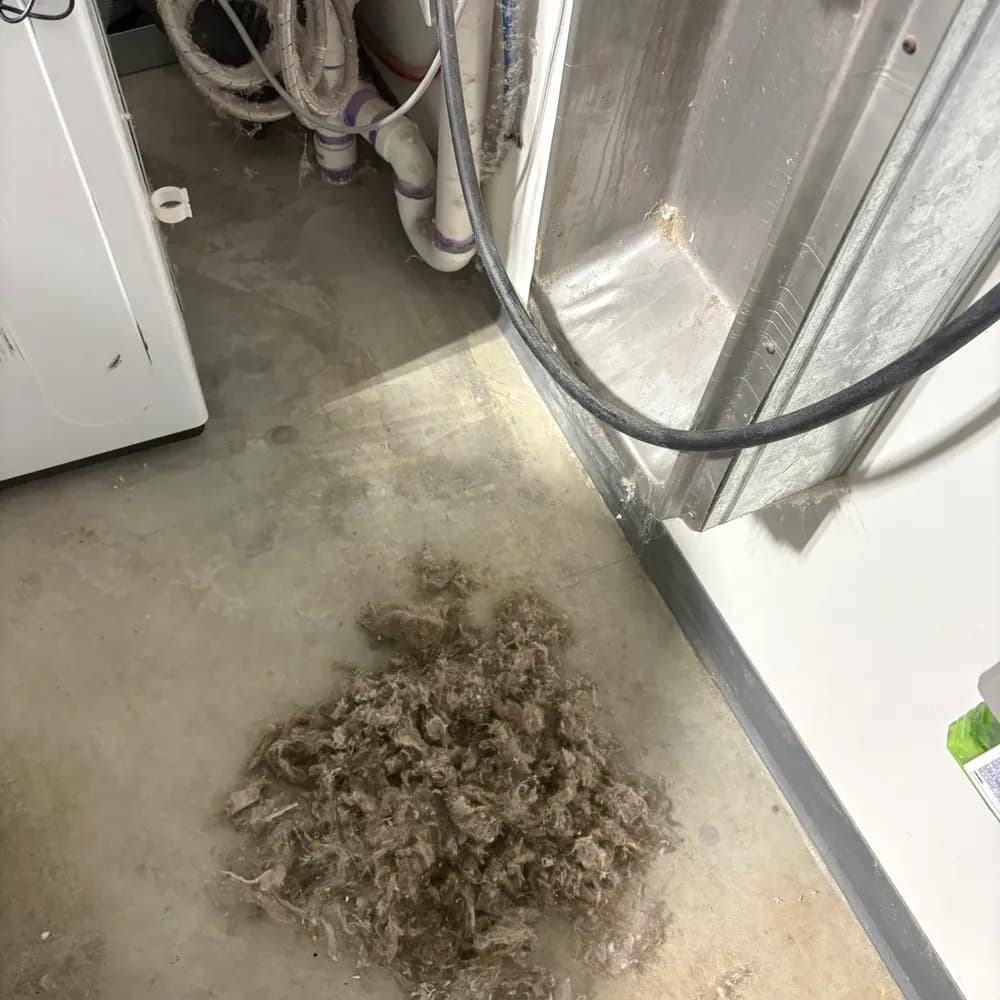 Dryer vent lint removed during cleaning in Lehigh Acres